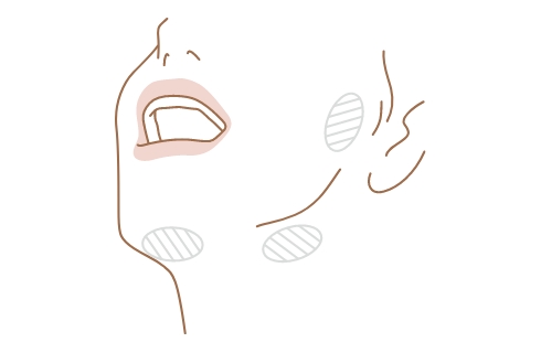 唾液が出る３つの場所を知っておきましょう。