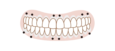 歯の根元にアプローチ、「内臓のツボ押し」。