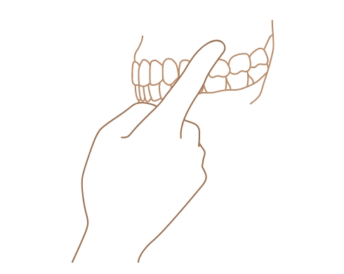 大腸・小腸など内臓のツボと、歯の関係。