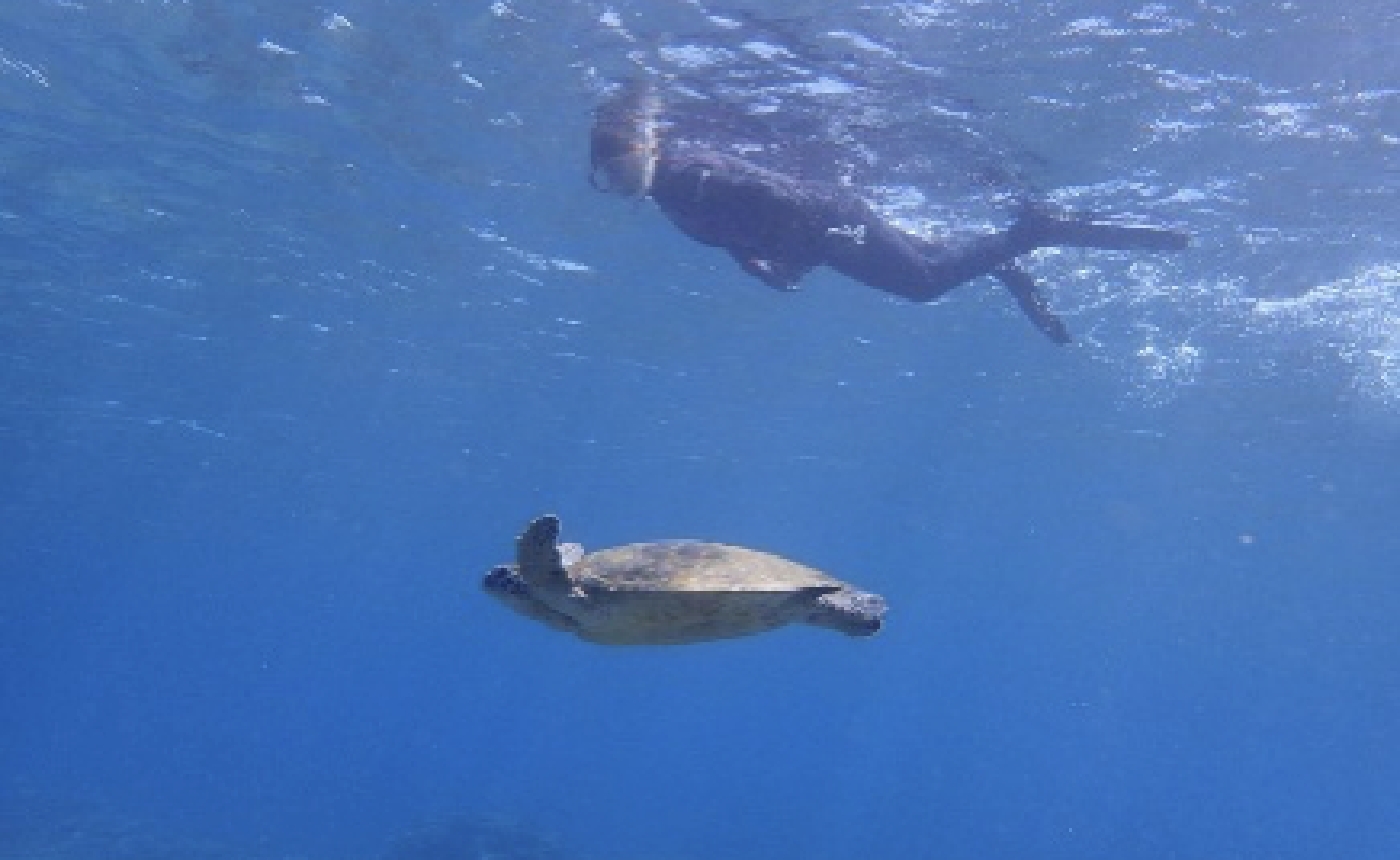 「もっと自由に。もっと自分らしく。」