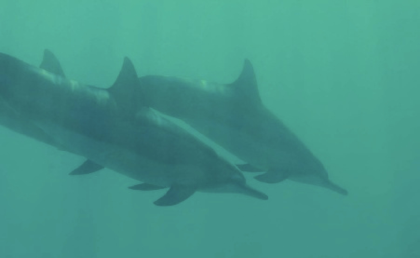 「もっと自由に。もっと自分らしく。」