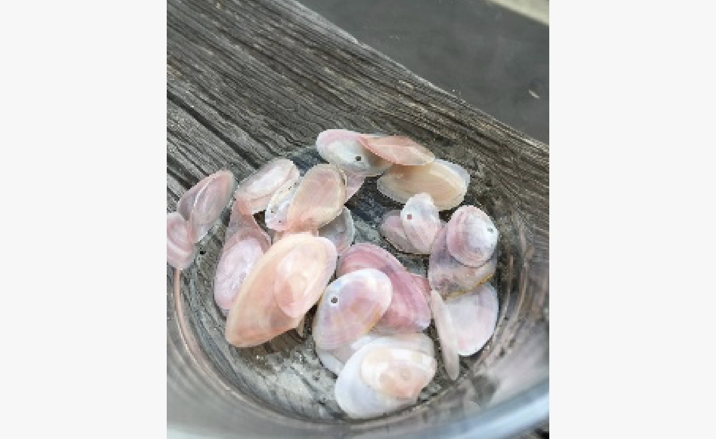 「もっと自由に。もっと自分らしく。」