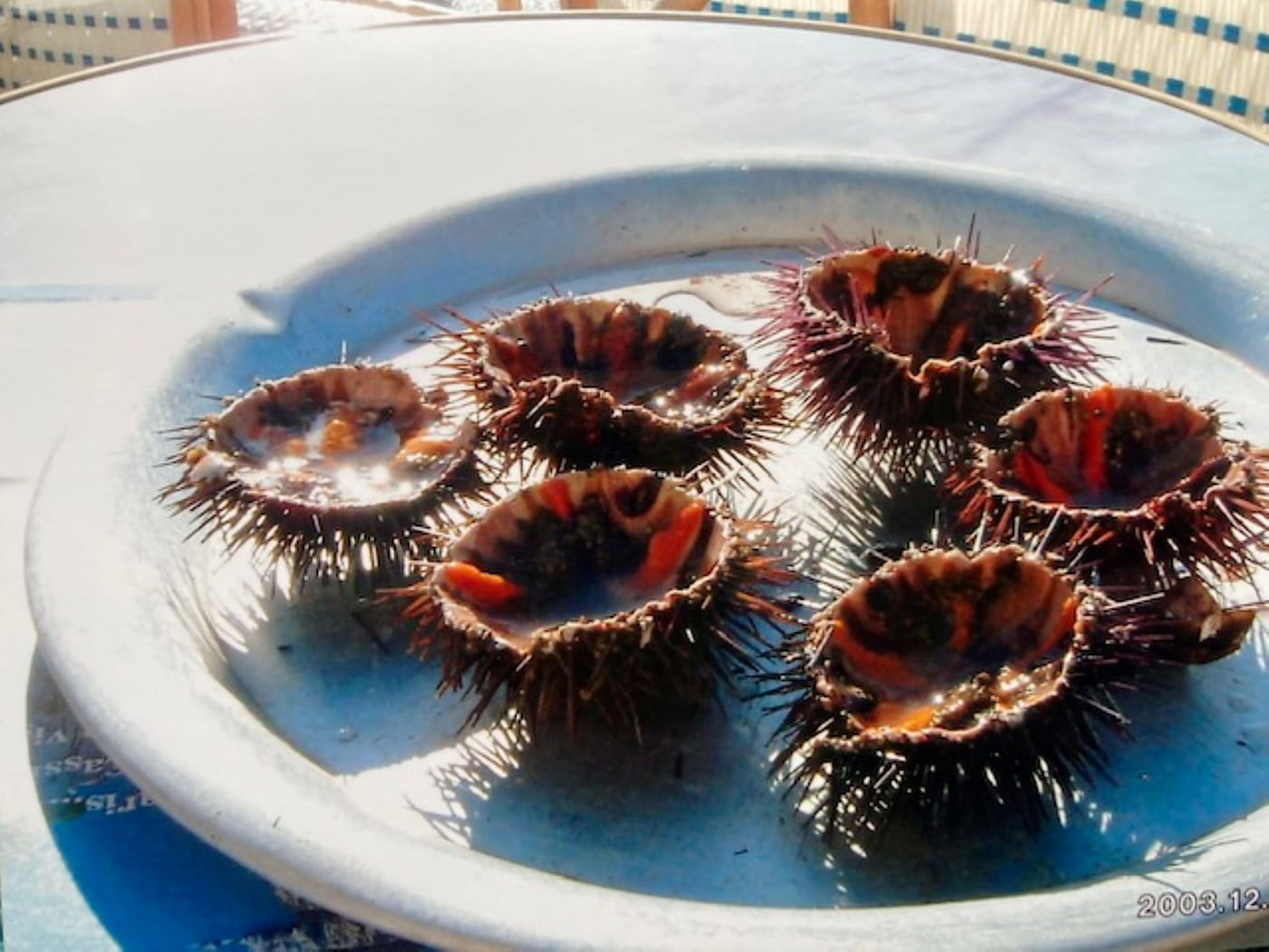 旅の記憶。旅が教えてくれること