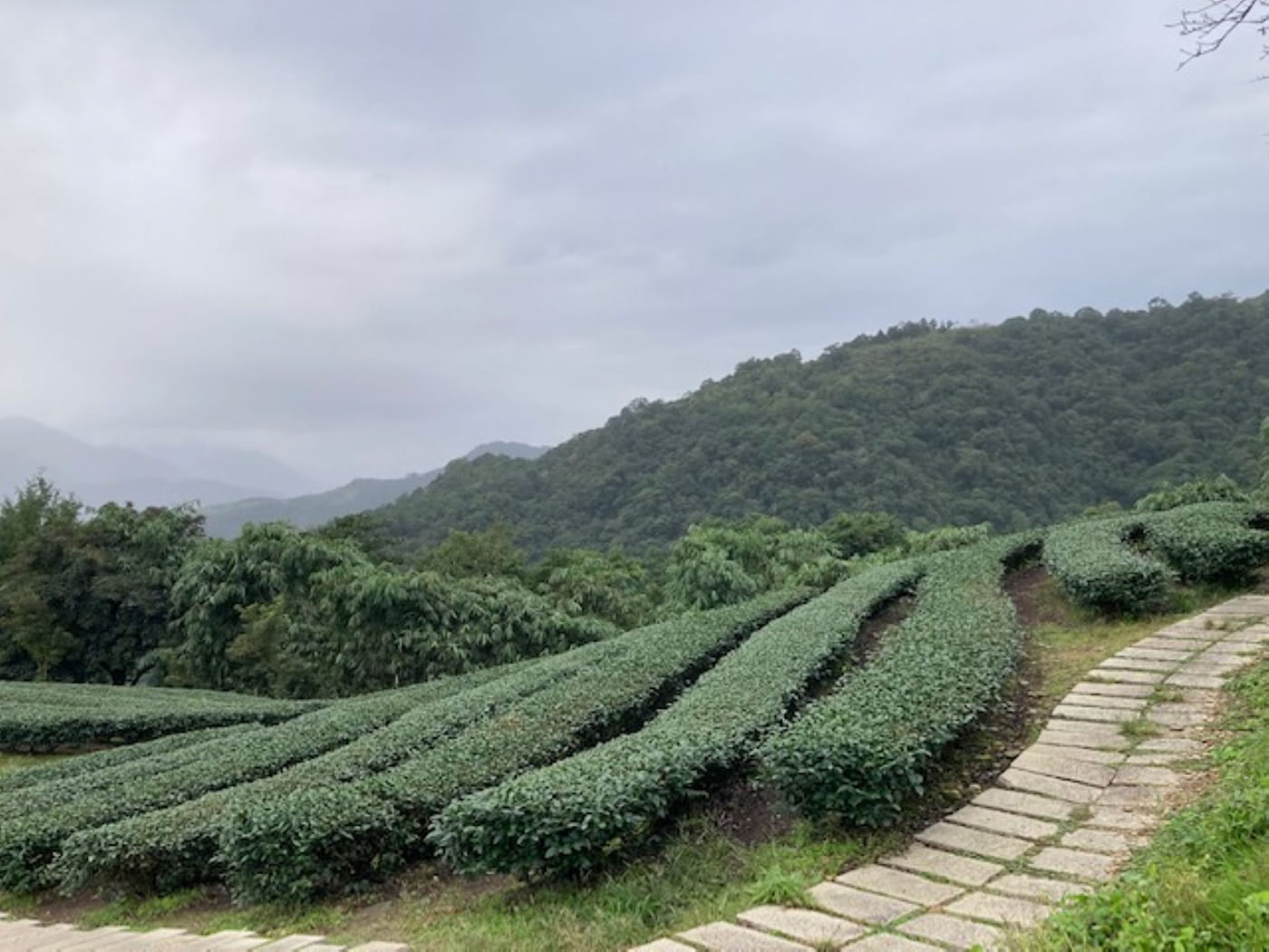 旅の記憶。旅が教えてくれること